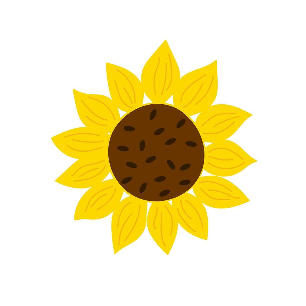 Yellow sunflower flat style simple vector hand drawn floral illustration, summer field agricultural plant, flower head in bloom for greeting card, wedding invitations, holiday design, poster, banner