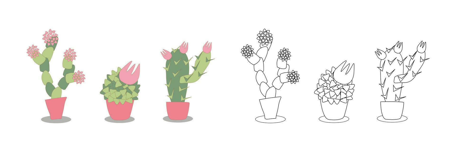 vector ilustración colorante libro - conjunto de estilizado interior floreciente cactus suculentas en coral ollas. un contorno negro y blanco dibujo y un color versión para un ejemplo.