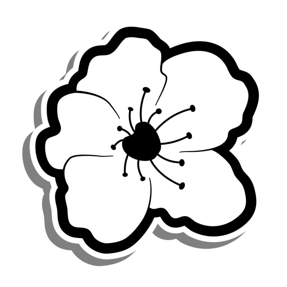 Doodle black line cherry blossom, sakura flower on white silhouette and gray shadow. Vector illustration for decorate logo, wedding, greeting cards and any design.