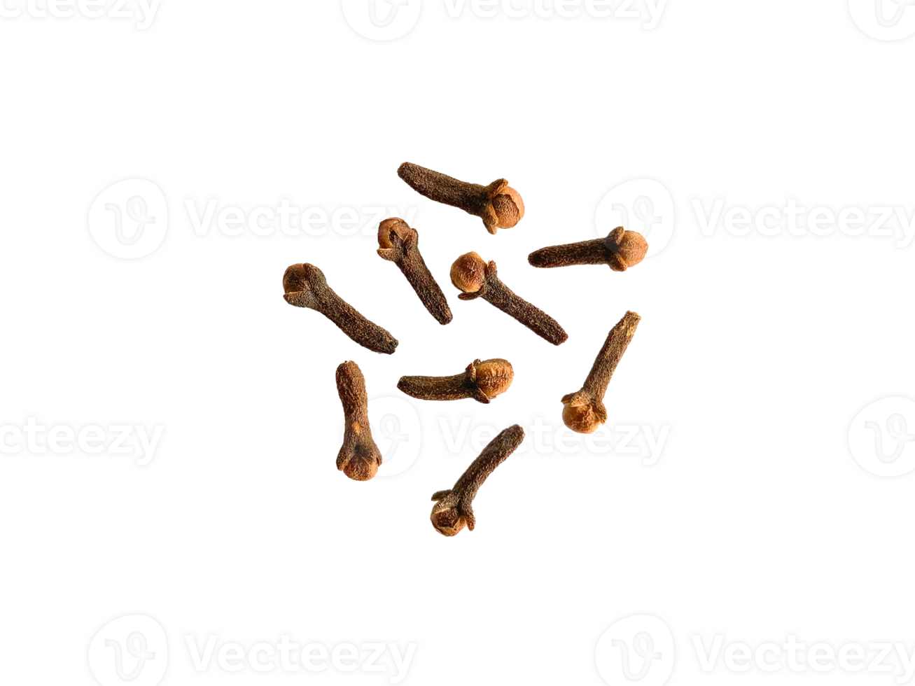 Cloves spice isolated close-up png
