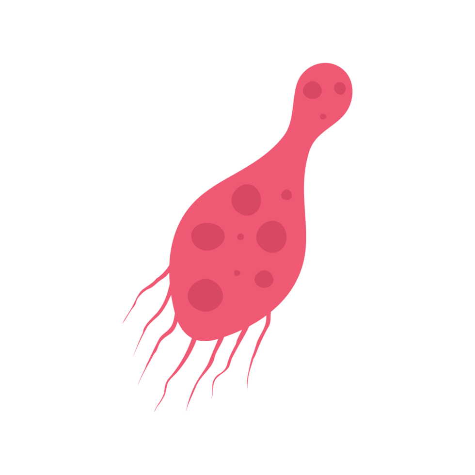 platt virus, bakterie och bakterie, mikroorganism typ och super insekt illustration. png