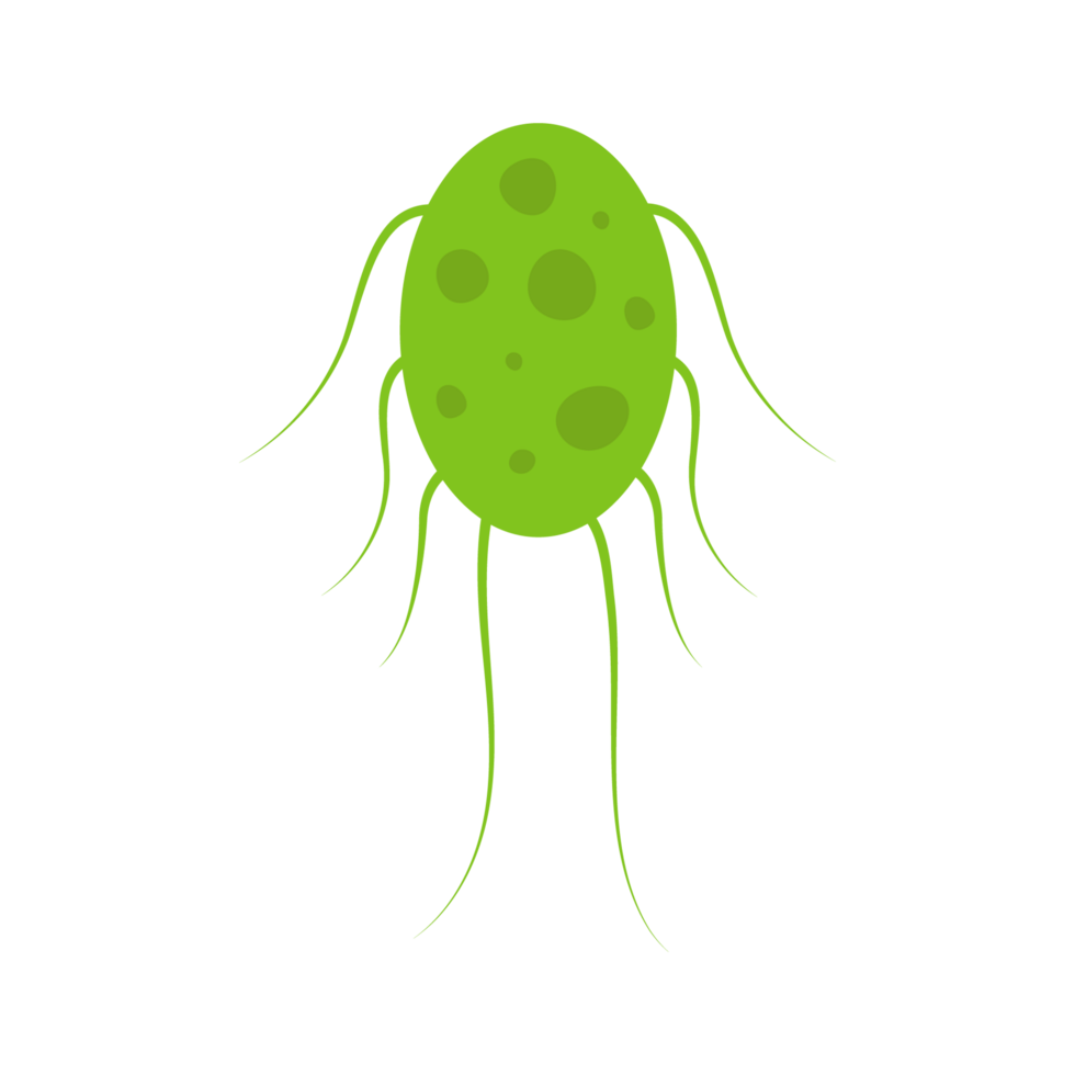 Flat Virus, germ and bacteria, microorganism type and super bug illustration. png