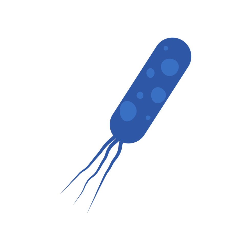 Flat Virus, germ and bacteria, microorganism type and super bug illustration. png
