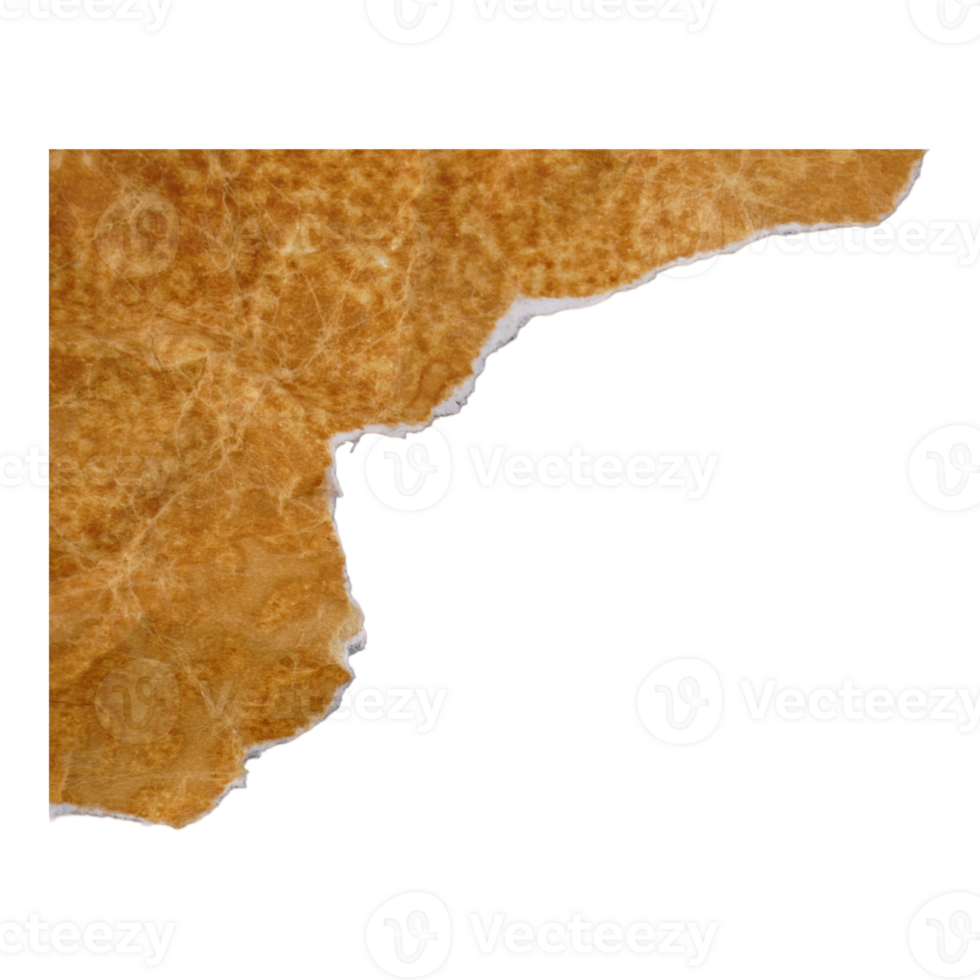 Aged Ripped Crumpled Old Paper Cutout png