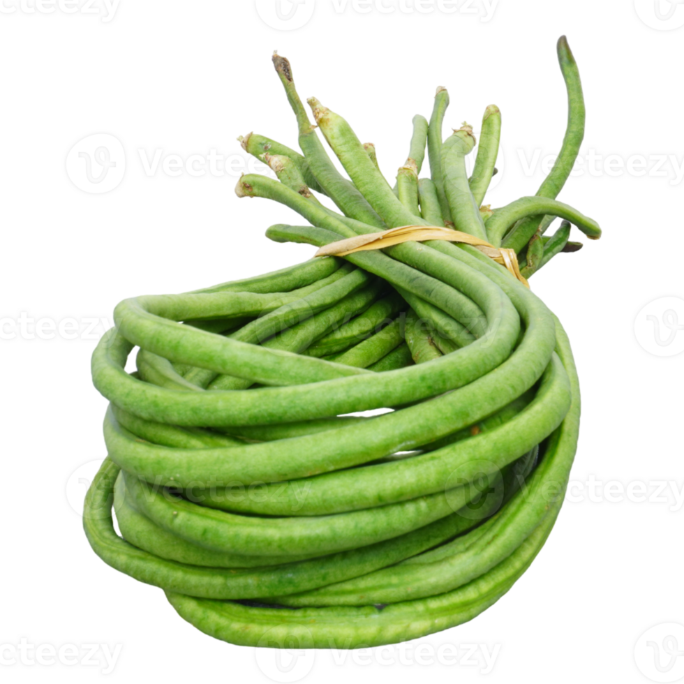 Bunch of fresh long bean isolated, transparent background png