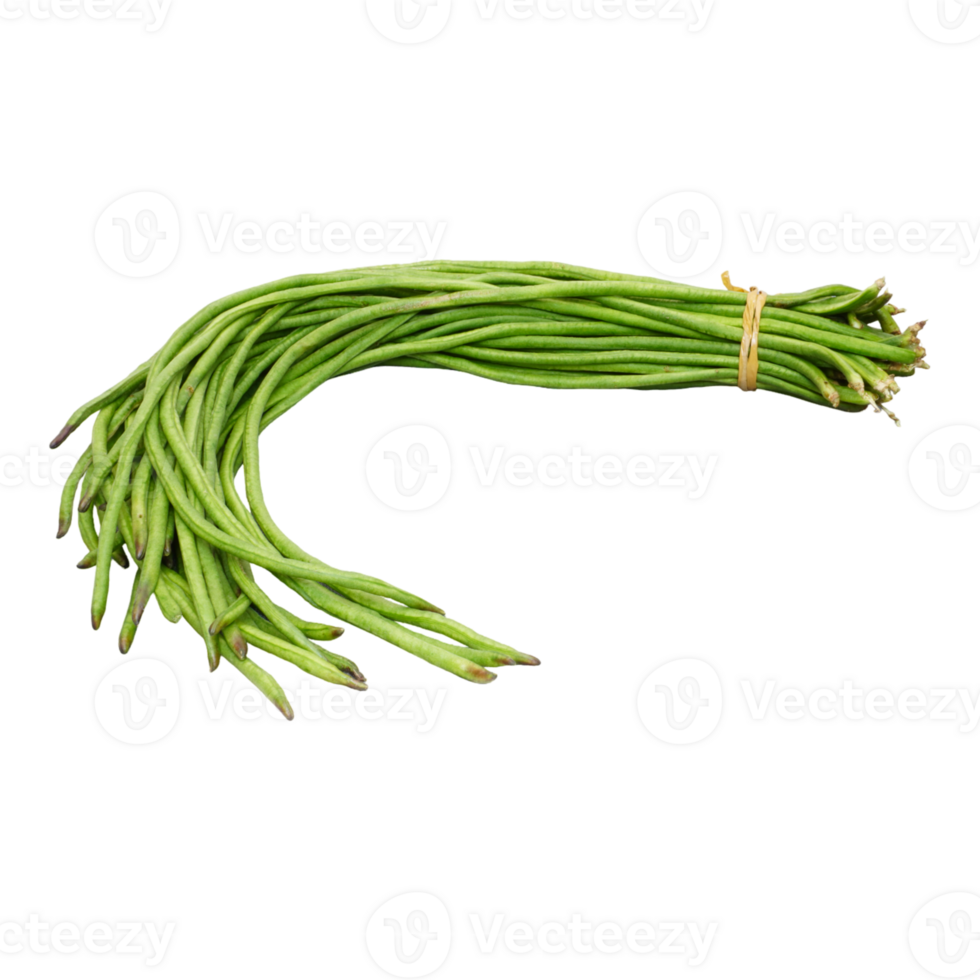 Bunch of fresh long bean isolated, transparent background png