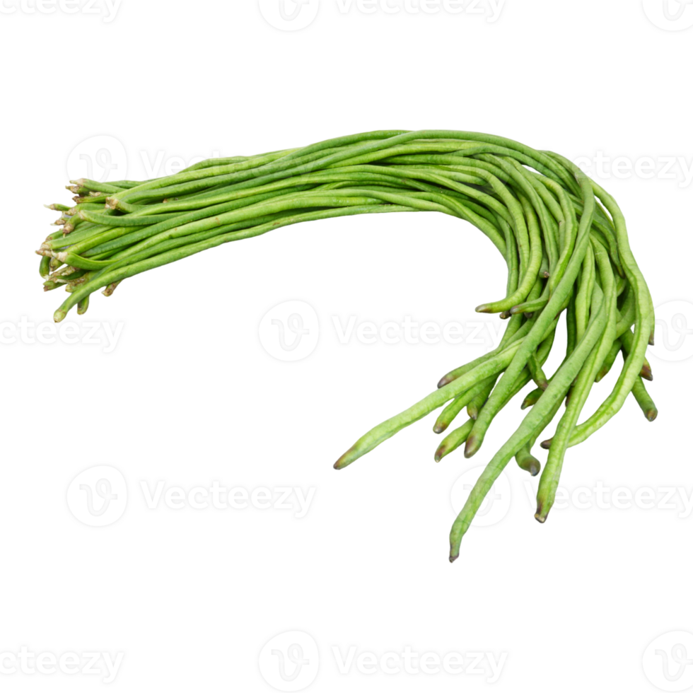 Bunch of fresh long bean isolated, transparent background png