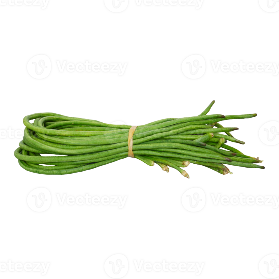 Bunch of fresh long bean isolated, transparent background png