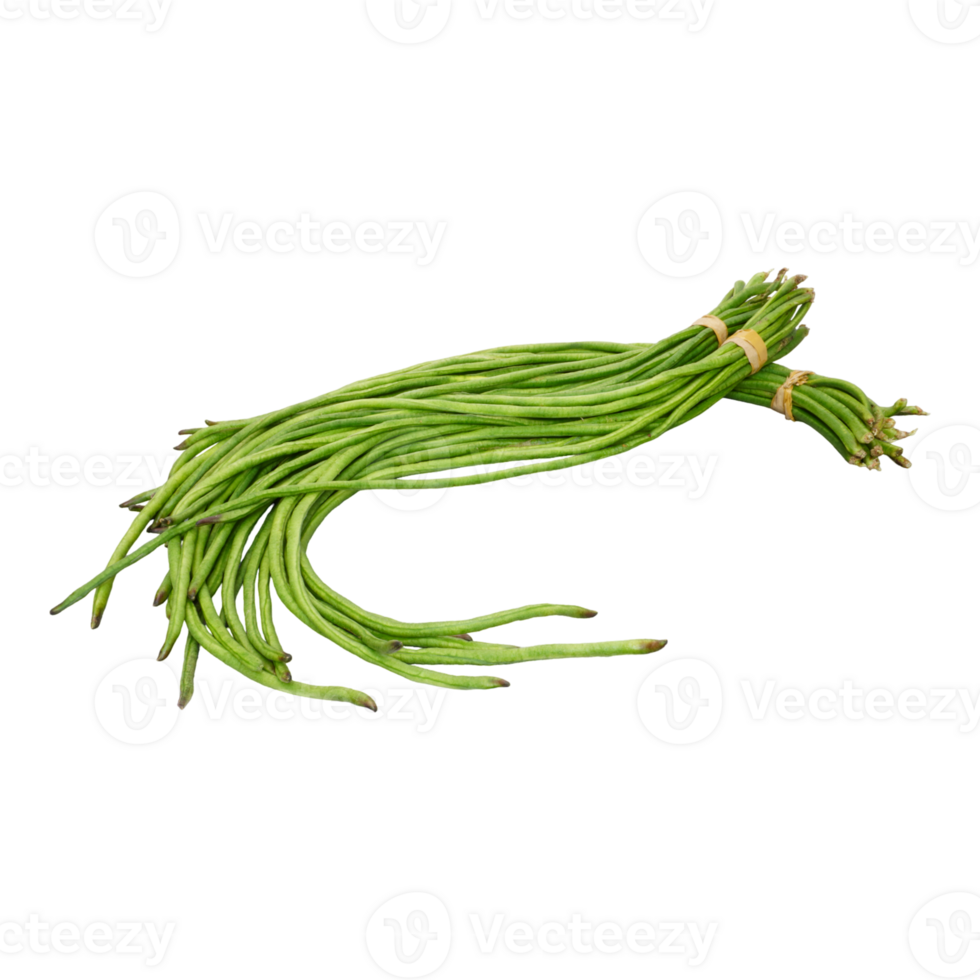 Bunch of fresh long bean isolated, transparent background png