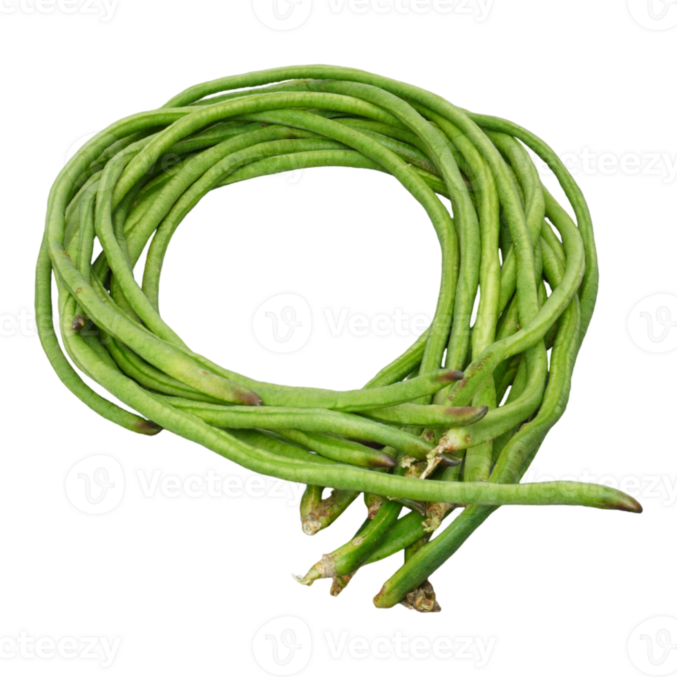 Bunch of fresh long bean isolated, transparent background png