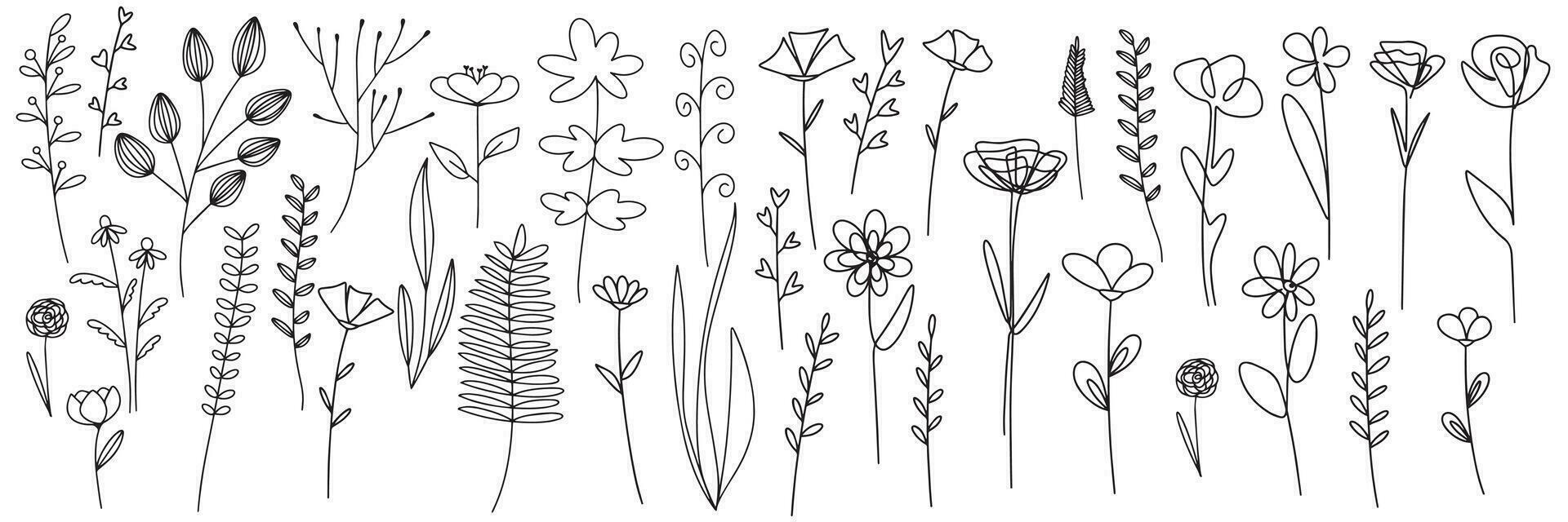 Set of leaves. Hand drawn decorative elements. Vector illustration. Set of Plants Doodle Design Element, Leaves and Flower Line Art