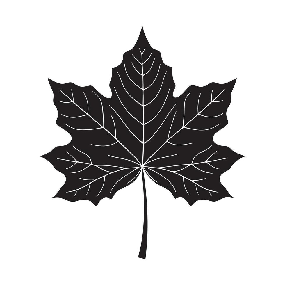 Maplle leaf silhouette logo isolated on white background vector