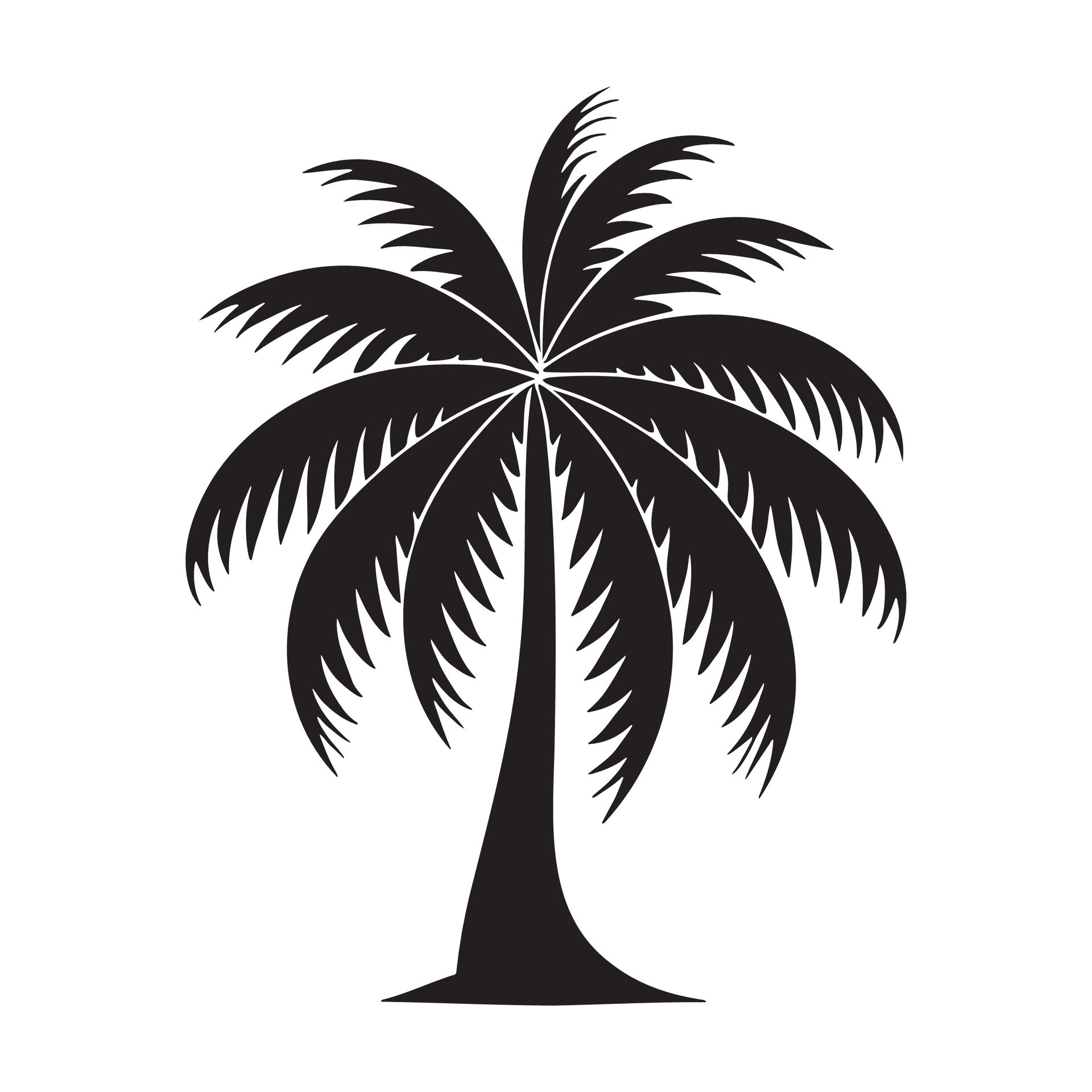 Palm tree silhouette logo isolated on white background 25355358 Vector ...