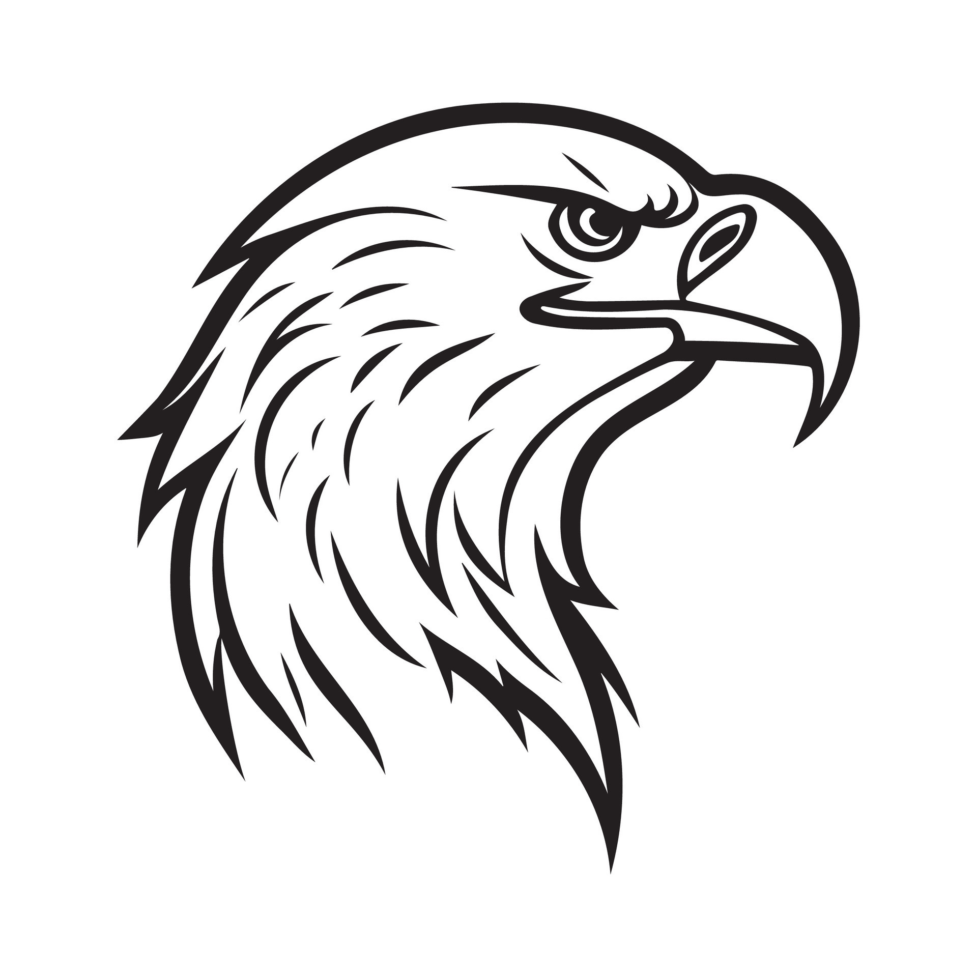 Eagle head black and white vector icon 25355555 Vector Art at Vecteezy