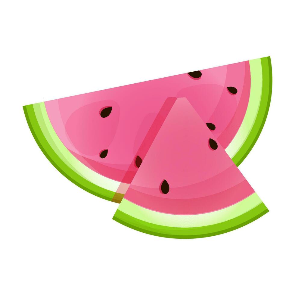 Half of a watermelon and a triangular piece vector