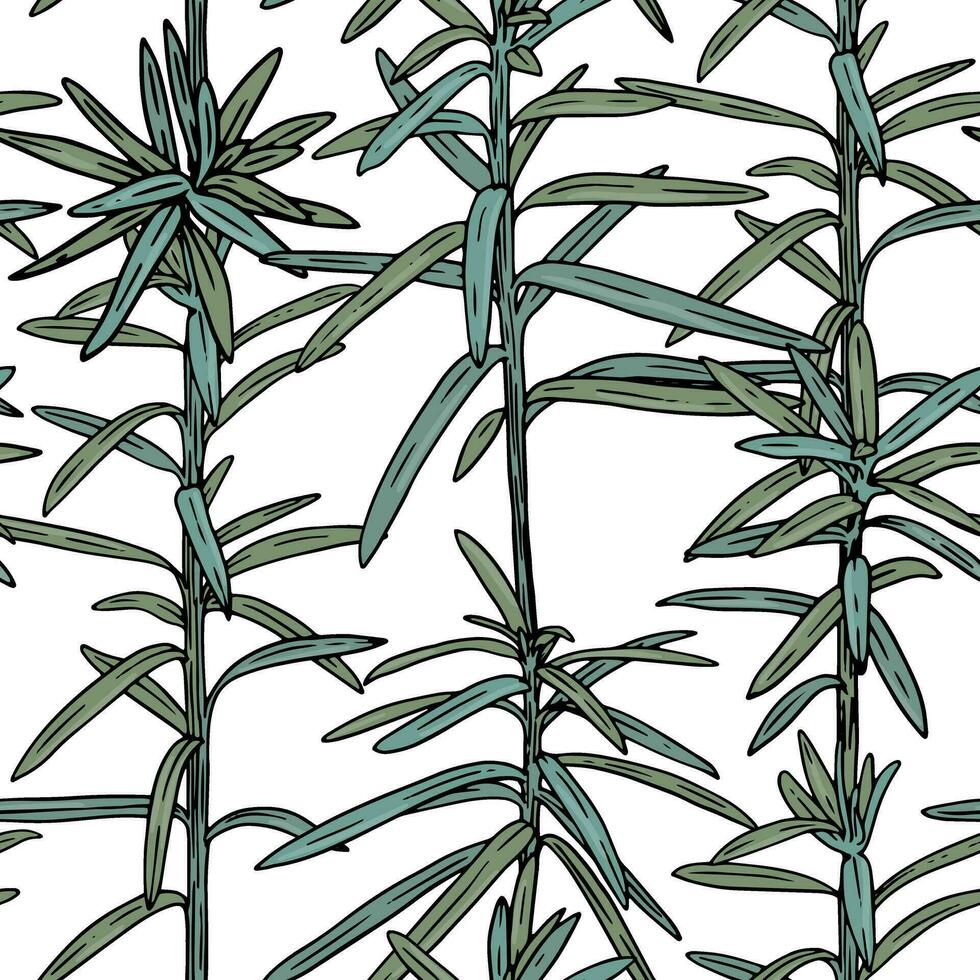 Tropical seamless pattern on white background with leaves. Hawaiian style print with juniper tree branches vector