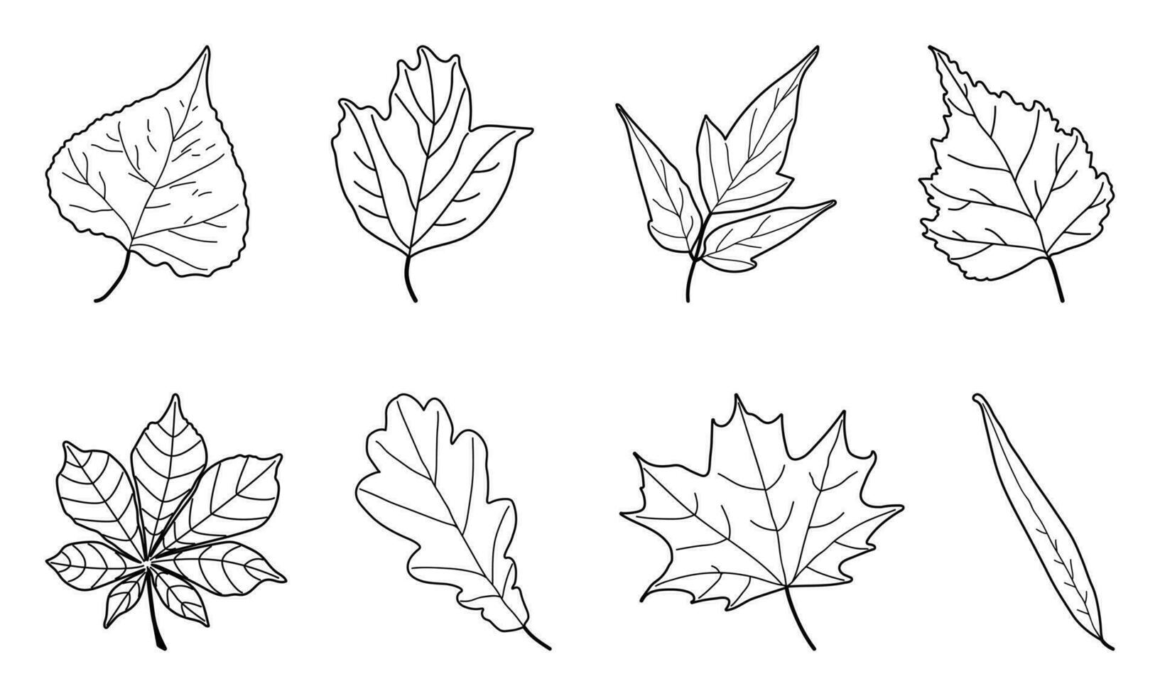 Set of Vector Outline Leaves 25360907 Vector Art at Vecteezy