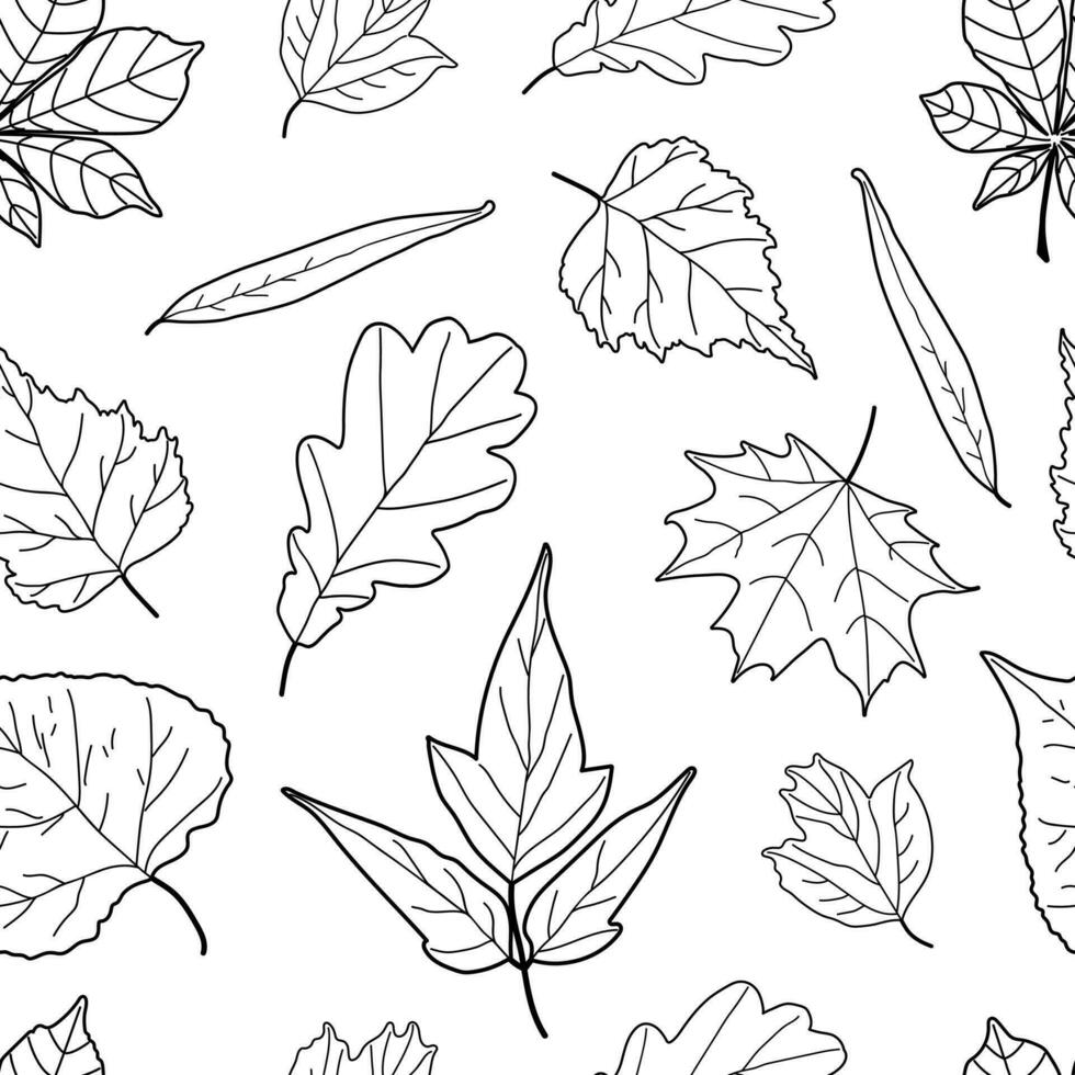 Seamless Pattern with Leaves Outline vector