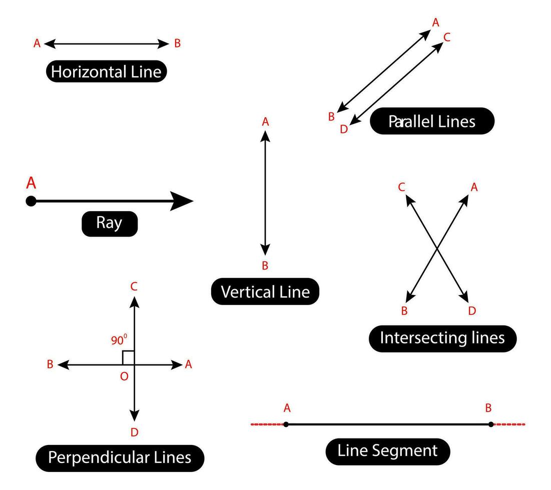 horizontal, vertical, paralelo, intersectando líneas, perpendicular líneas, línea segmento y rayo en matemático geometría ilustraciones para estudiantes. vector