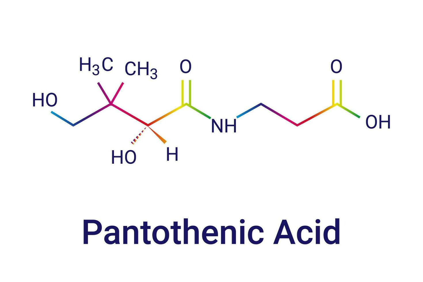 vitamina b5 pantoténico ácido, pantotenato molécula químico esquelético fórmula. vector ilustración.