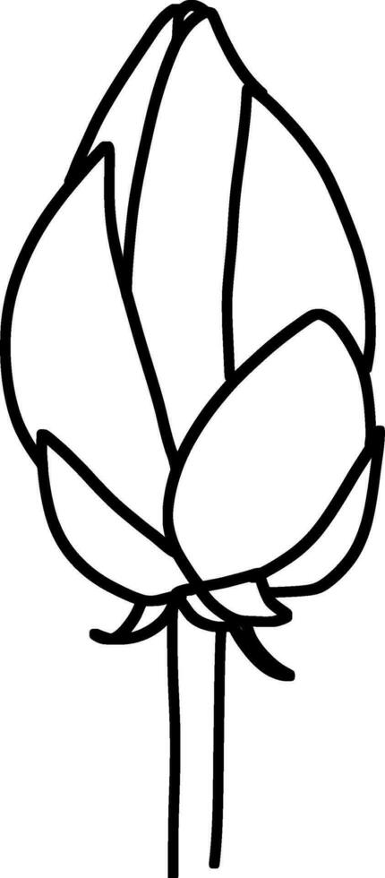 Sketch of Flower Bud vector