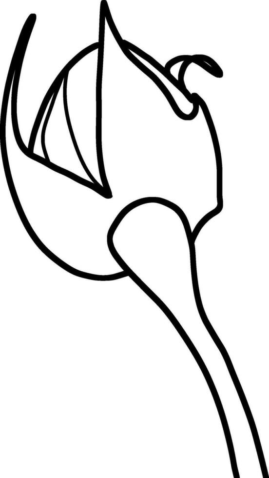 Sketch of Flower Bud vector