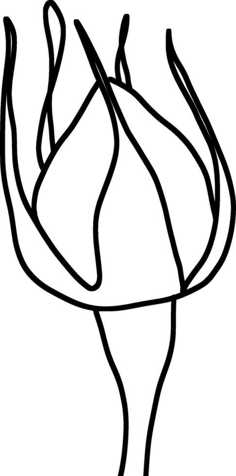 Sketch of Flower Bud vector