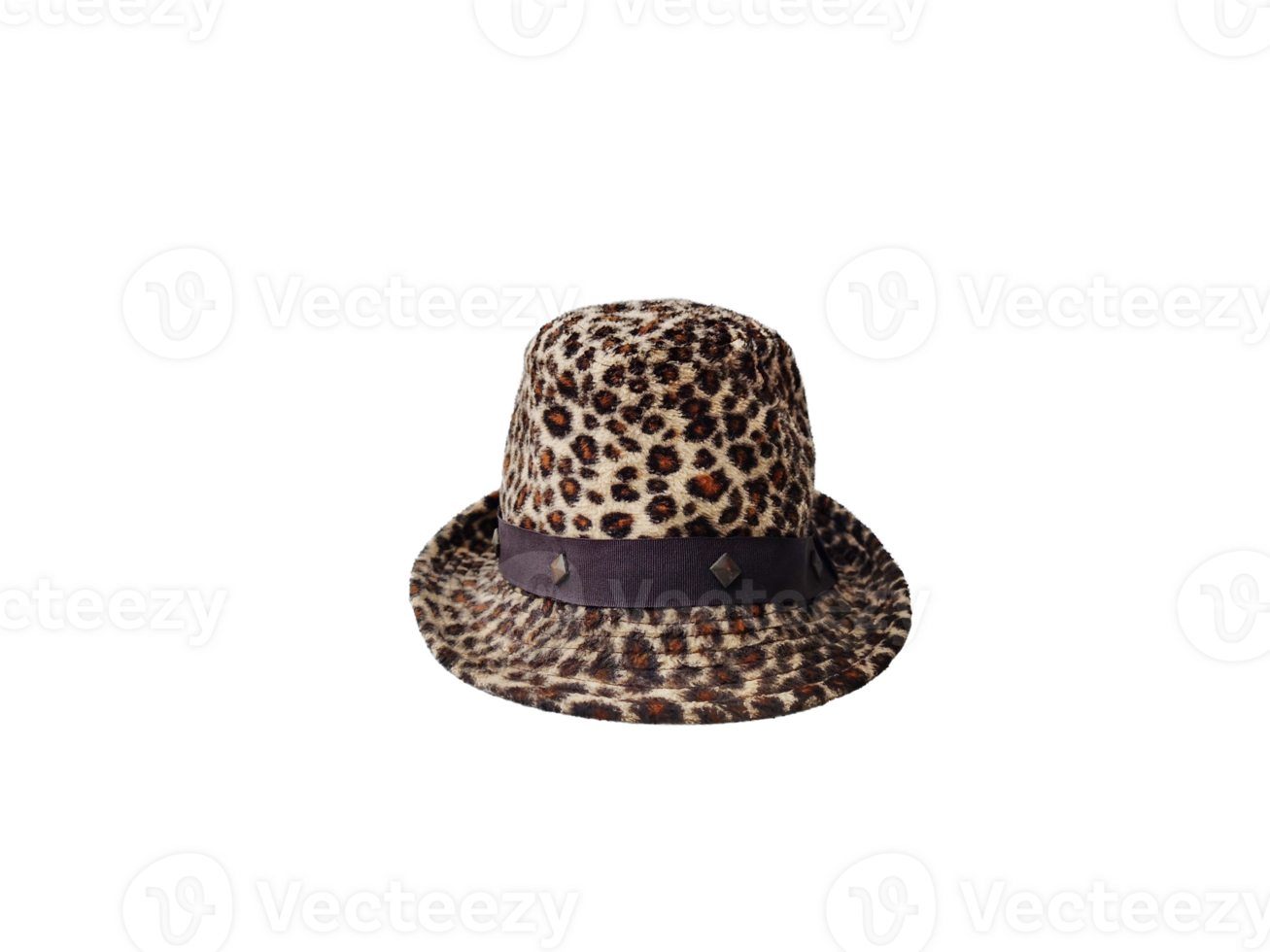Tiger pattern faux fur hat PNG transparent