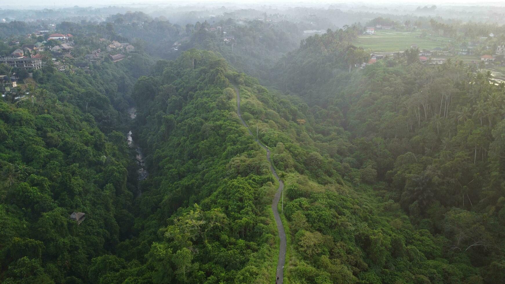 Campuhan Ubud From Above View photo