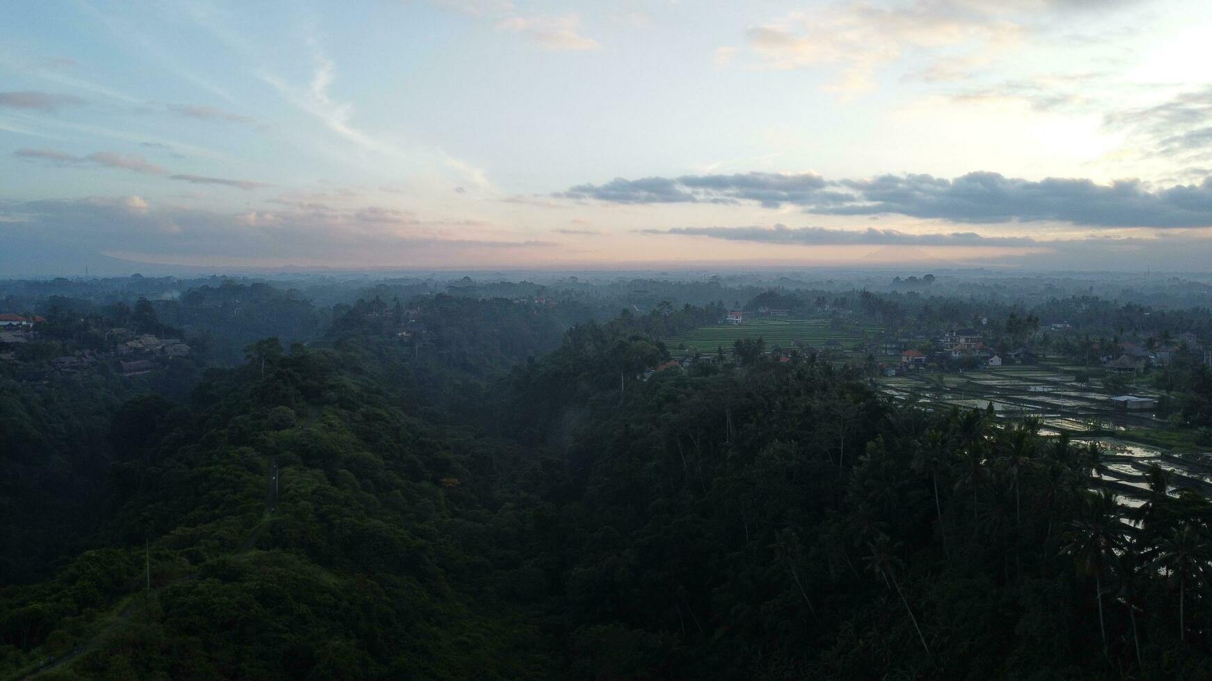 Ubud Morning View From Above photo