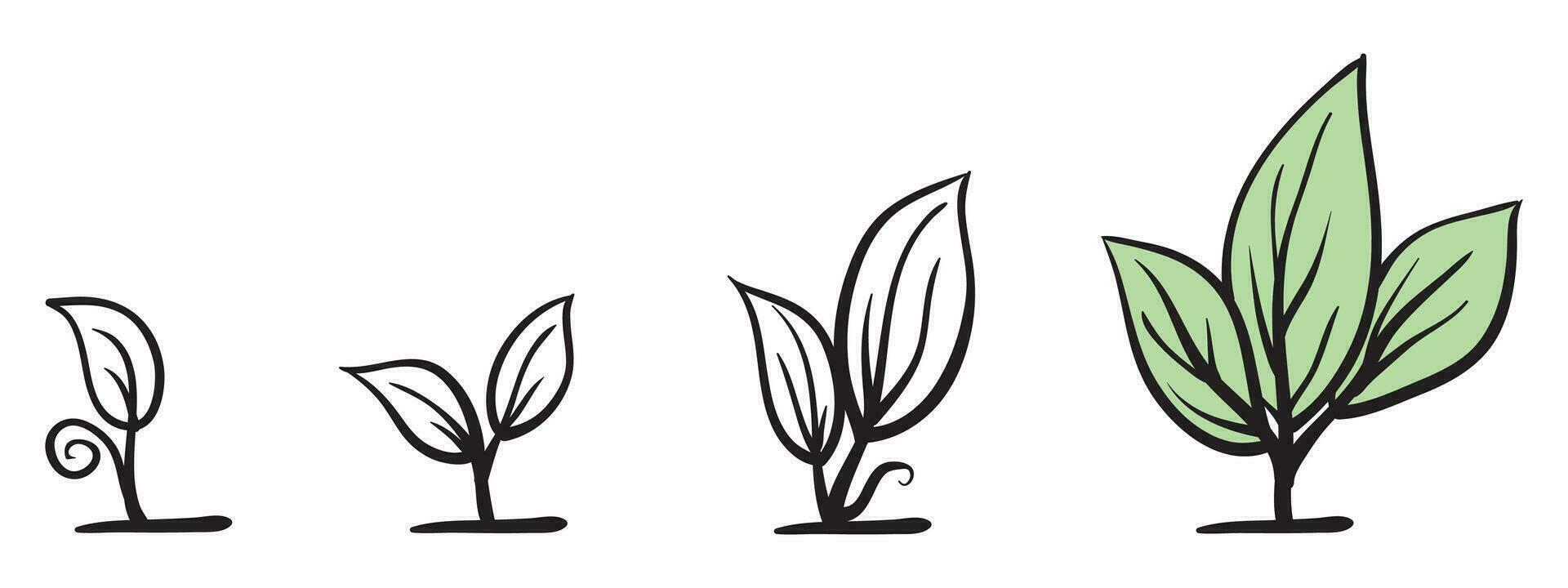 Línea de arte creciente planta de brotes con estilo de dibujo dibujado a mano vector