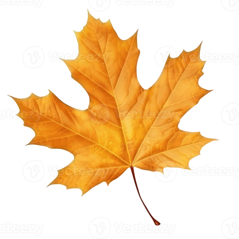 Autumn leaf isolated. Illustration AI Generative png