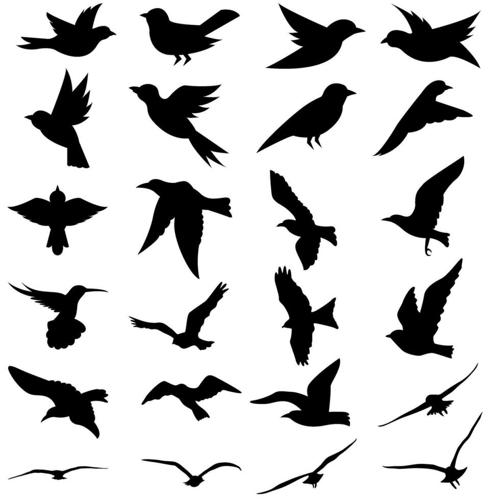 aves icono vector colocar. animales ilustración firmar recopilación. naturaleza símbolo.