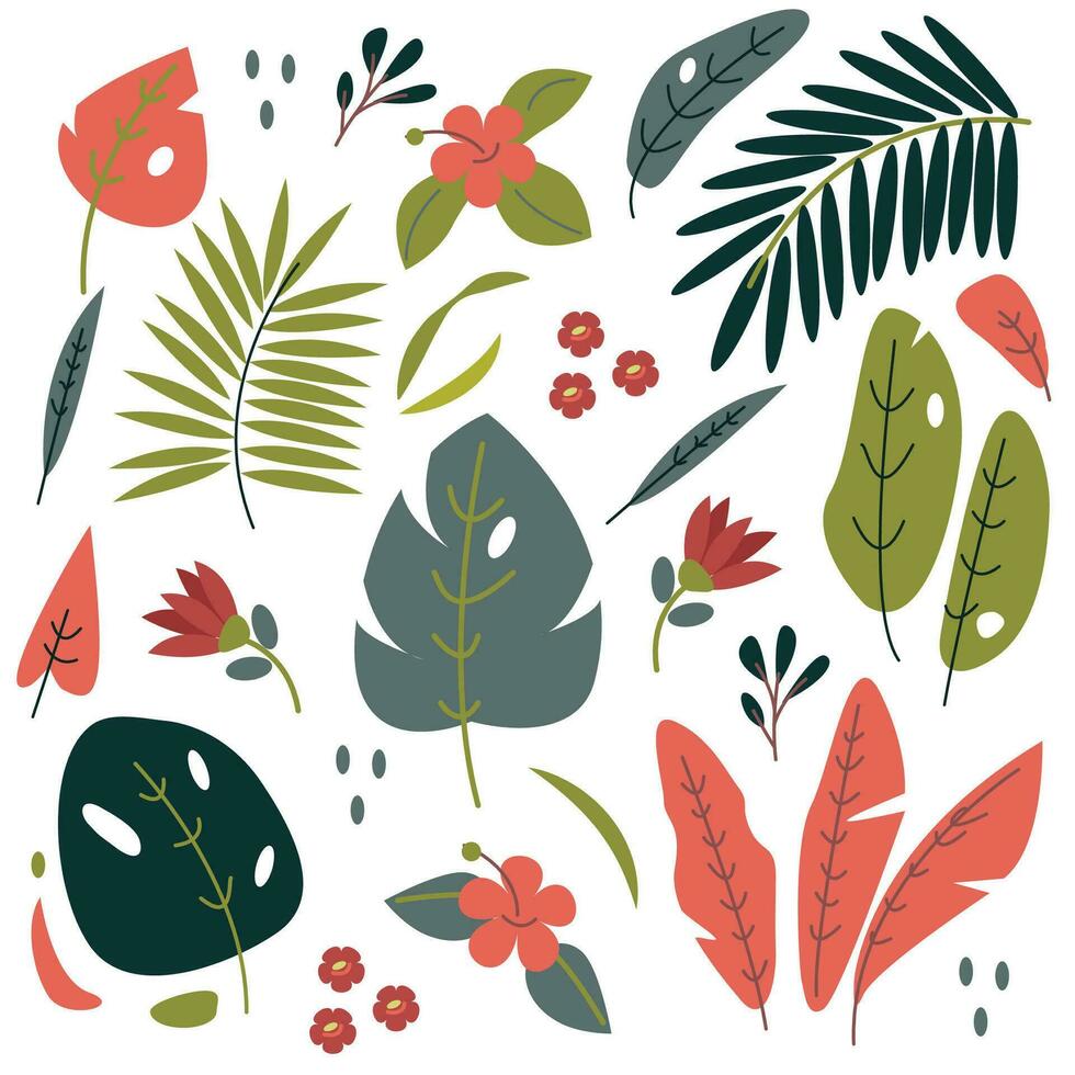vector set with tropic plant and flowers