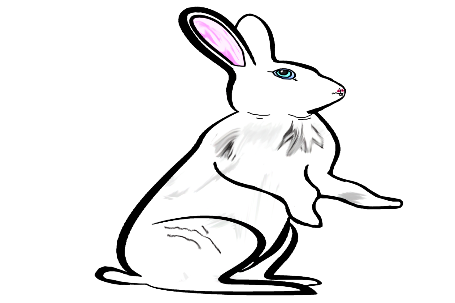 Icon cute bunny rabbit png