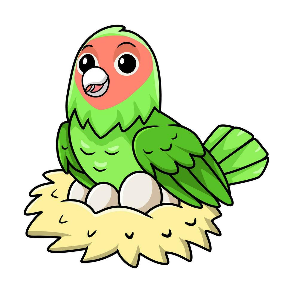 Cute peach faced love bird cartoon with eggs in the nest vector