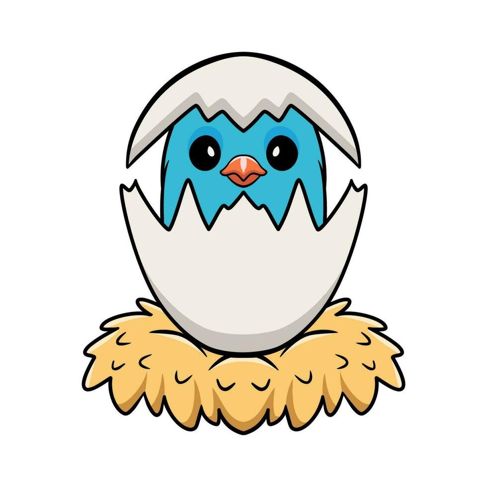 Cute forpus parrotlet bird cartoon inside from egg vector