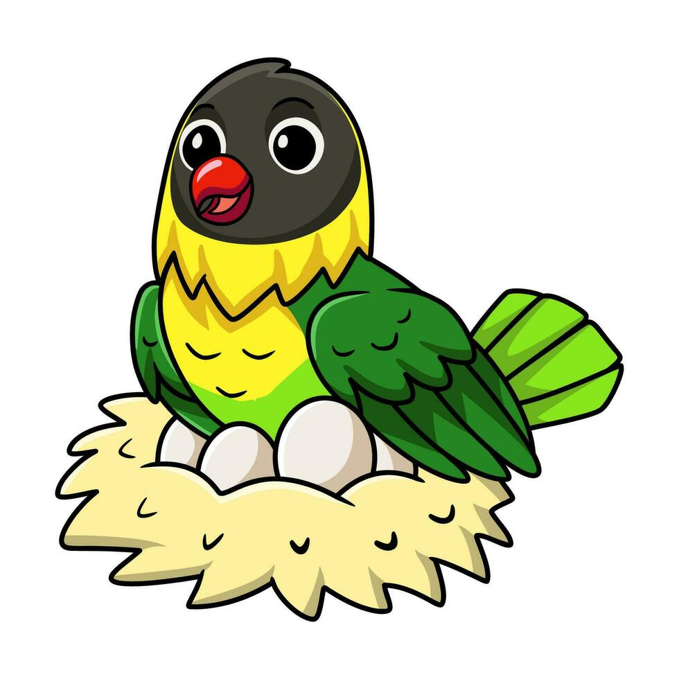 Cute yellow collared love bird cartoon with eggs in the nest vector