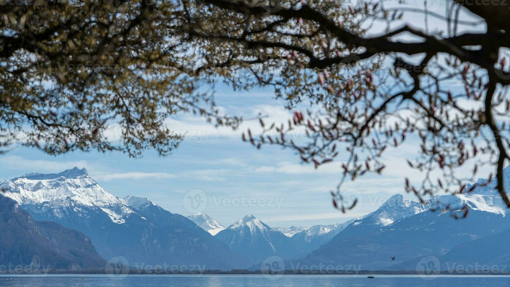 Mountain and Water Background View. Lake Geneva Vevey, Swistzerland. photo