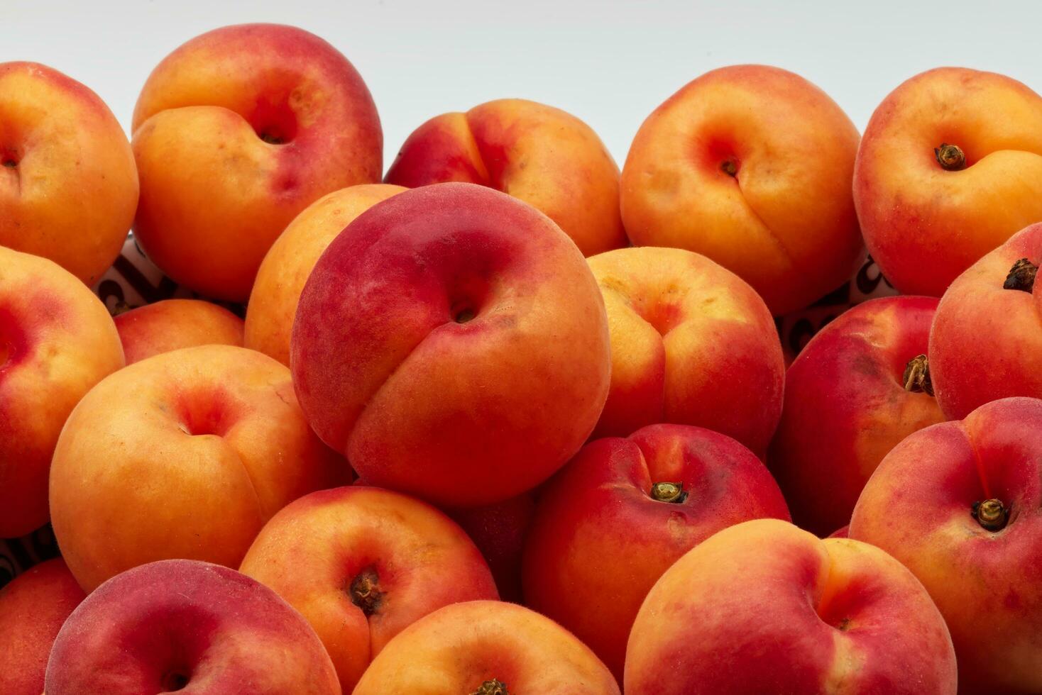 Fresh apricot in a bowl isolated on white background photo