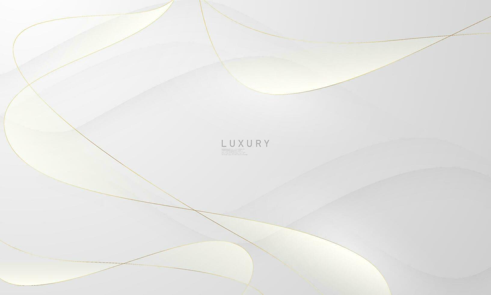 Abstract background white black poster beauty with VIP luxury dynamic. vector