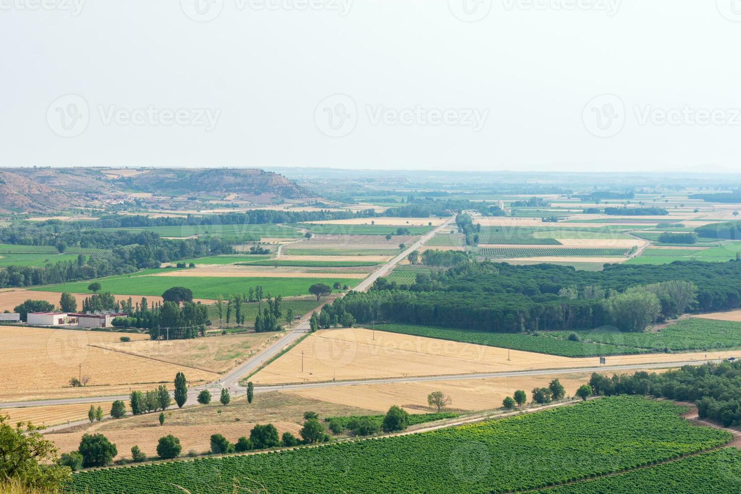 view of the sown fields on the plain photo