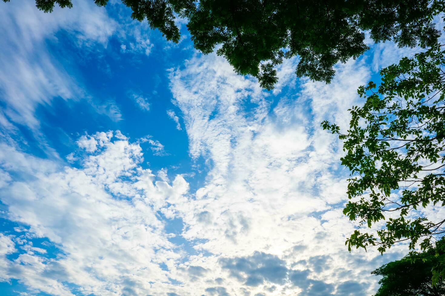 clouds and blue sunny sky,  white clouds over blue sky, Aerial view,  nature blue sky white cleat weather. photo