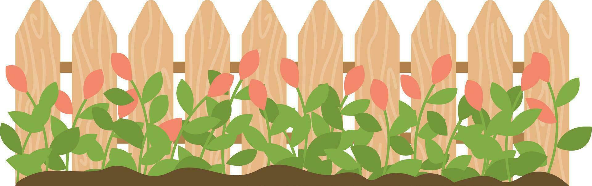 Wooden fence with flowers in the garden. Flat vector illustration.