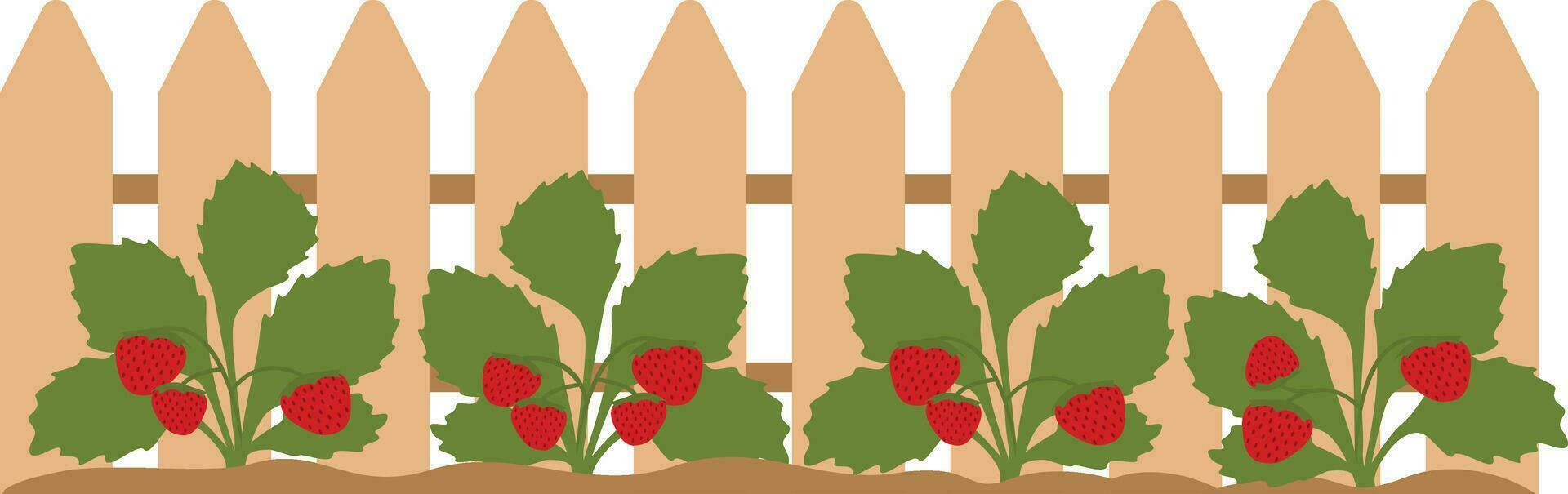 Garden design over white background, vector illustration. Vector illustration.