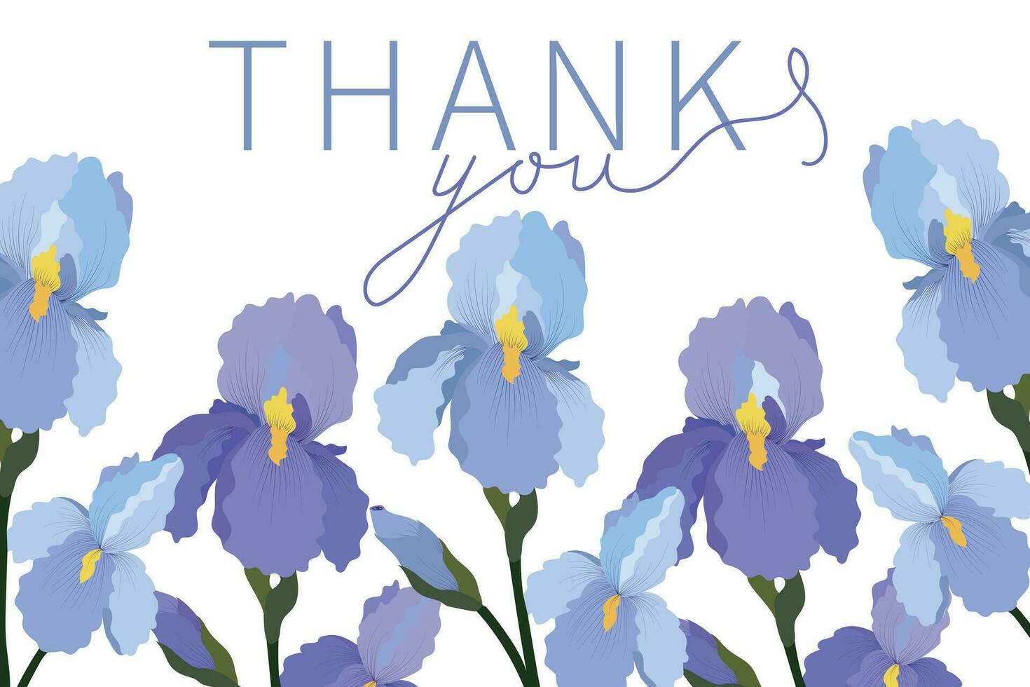 Thank you card with iris vector