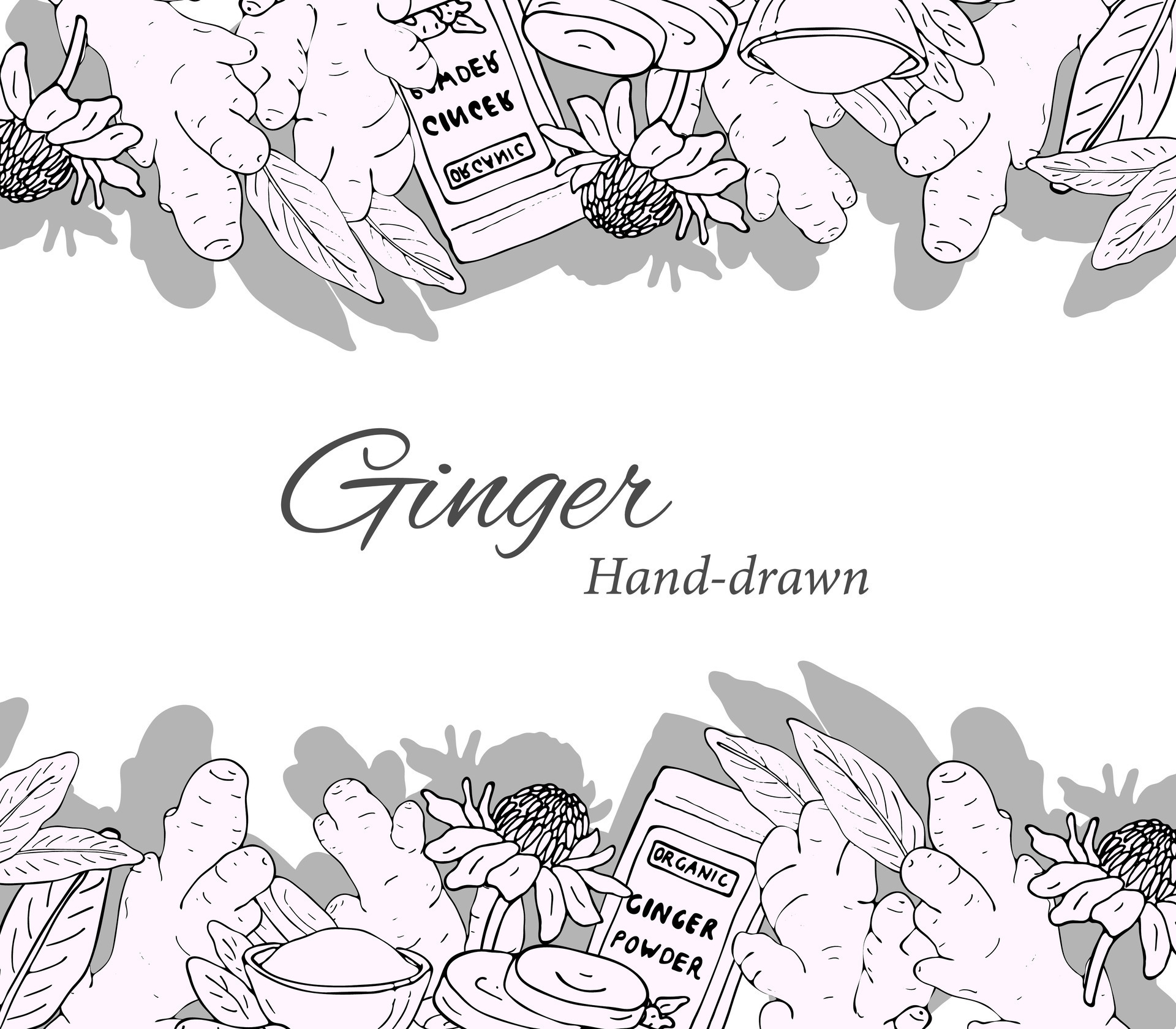 Handdrawn background of the ginger set, flower, ginger root, ginger