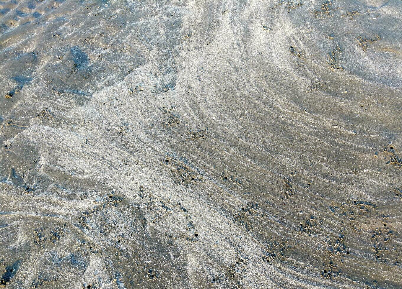 Natural Texture See photo
