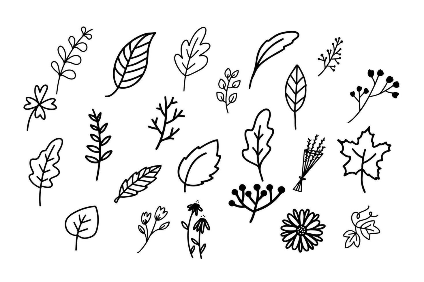 mano dibujado floral botánico planta garabatear vector elementos. botánico icono ilustración diseño.