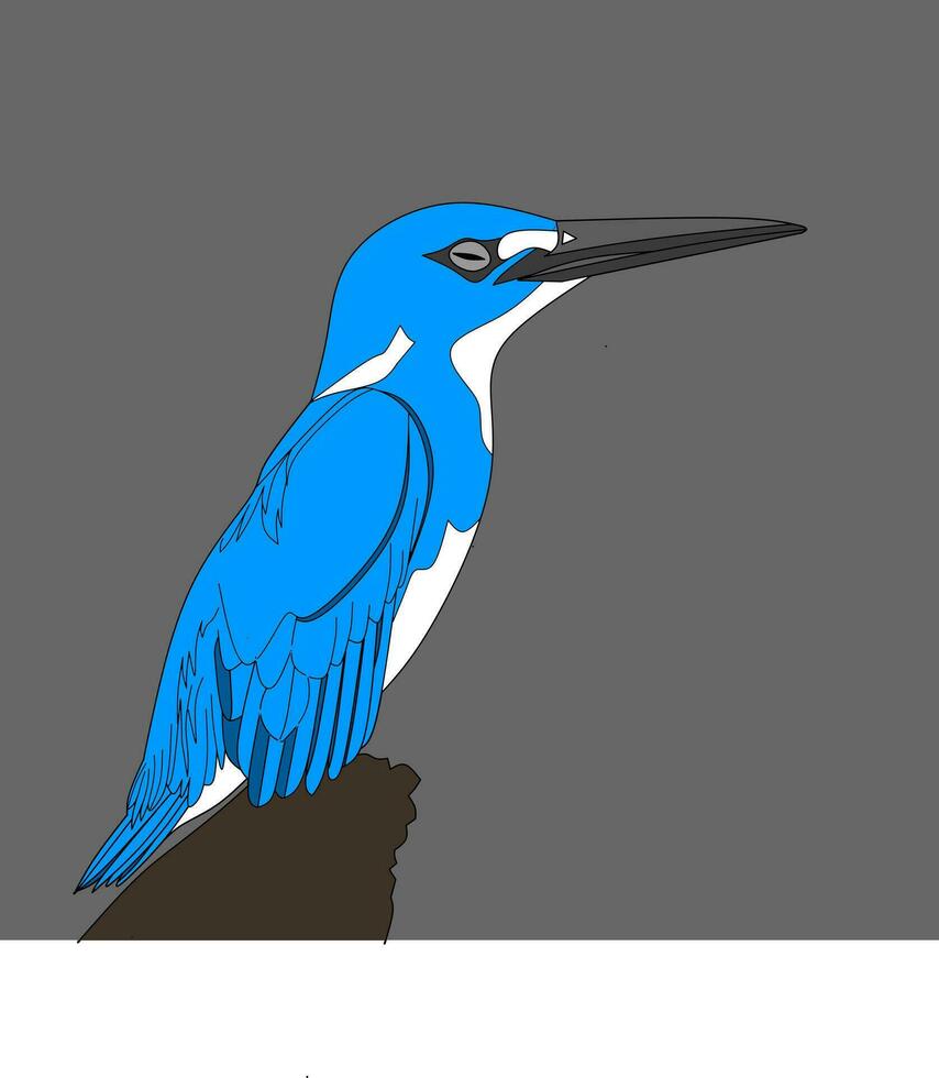 Blue kingfisher bird vector. Rare birds are almost extinct vector